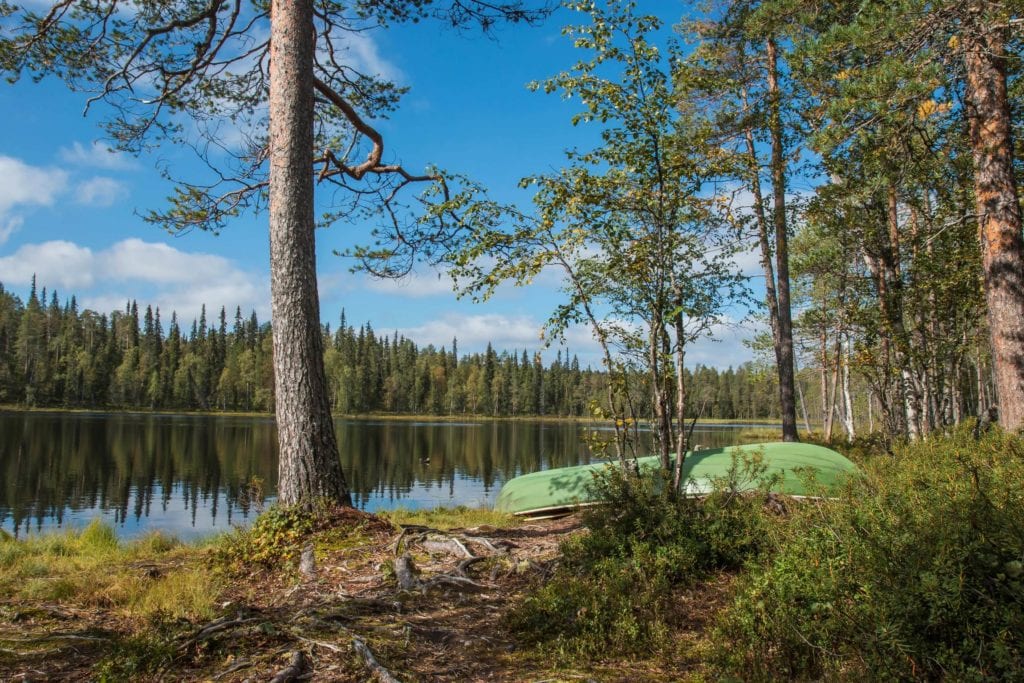 Park Narodowy Oulanka w Finlandii - najbardziej zalesione państwa Europy 